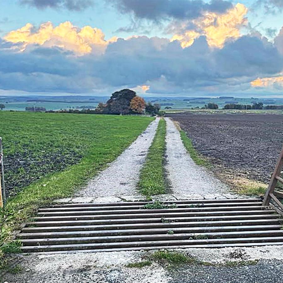Luxury Shepherd Hut In The Peak District ベイクウェル エクステリア 写真