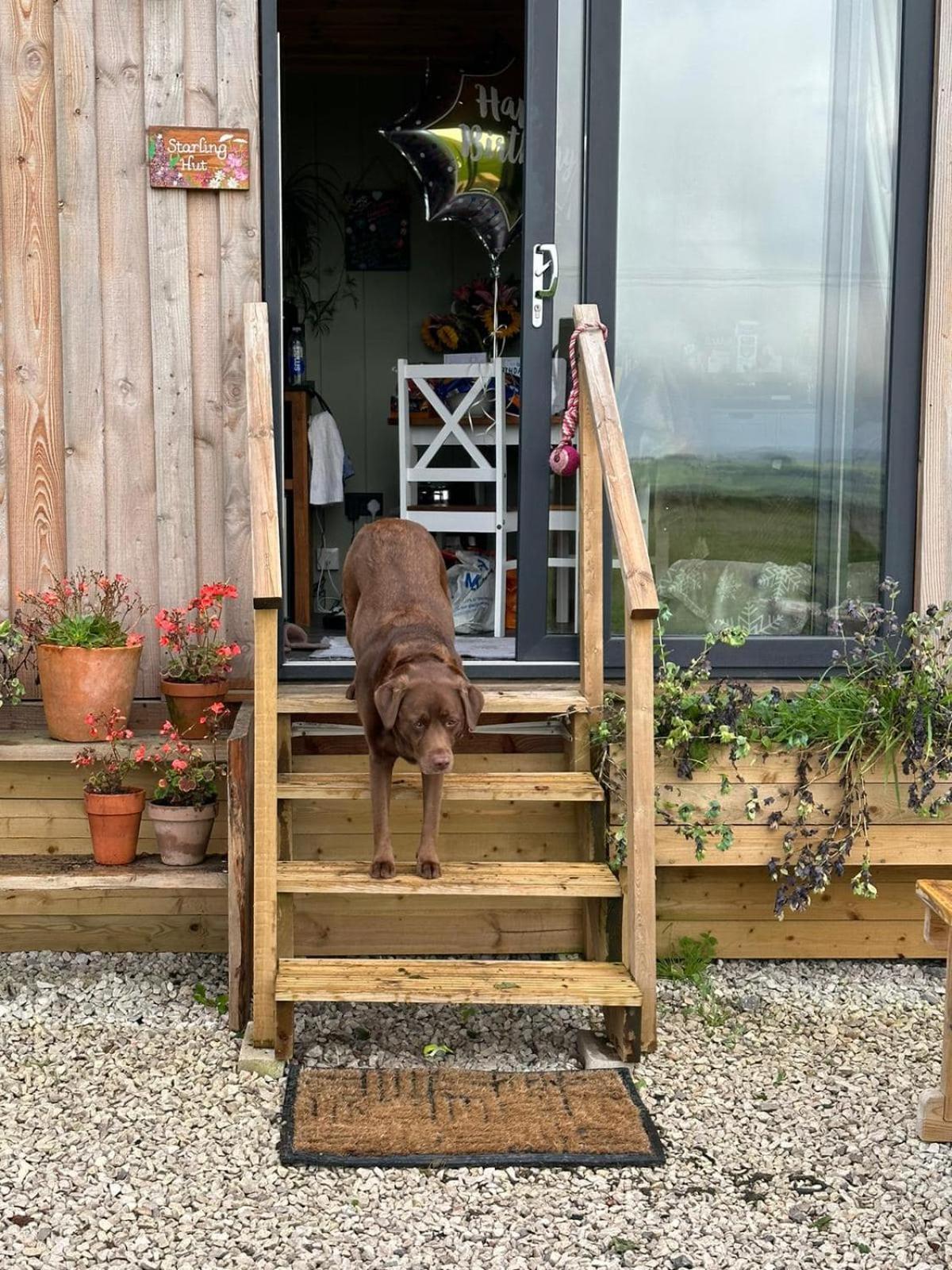 Luxury Shepherd Hut In The Peak District ベイクウェル エクステリア 写真
