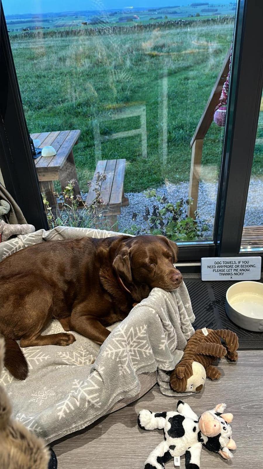 Luxury Shepherd Hut In The Peak District ベイクウェル エクステリア 写真