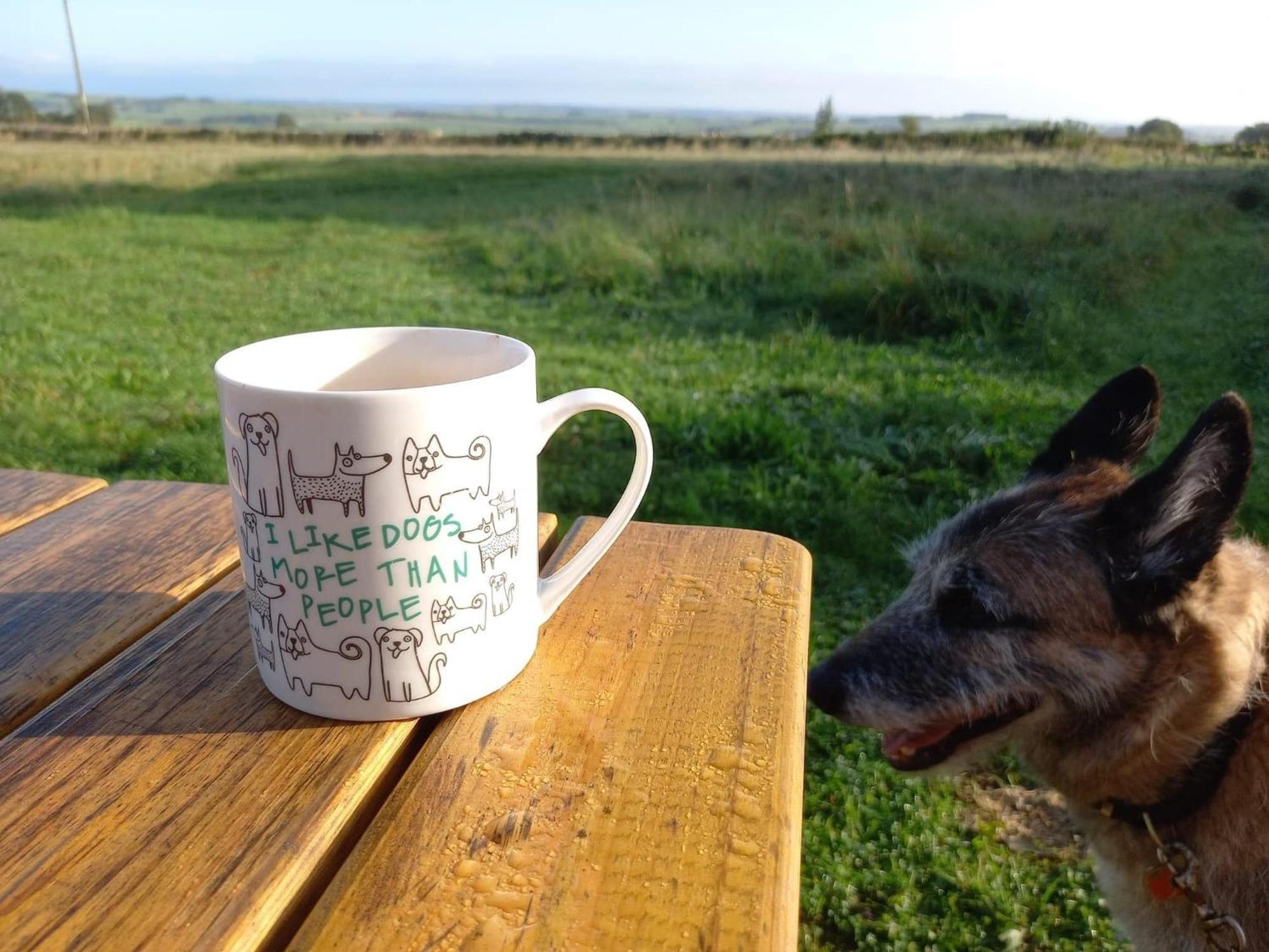 Luxury Shepherd Hut In The Peak District ベイクウェル エクステリア 写真