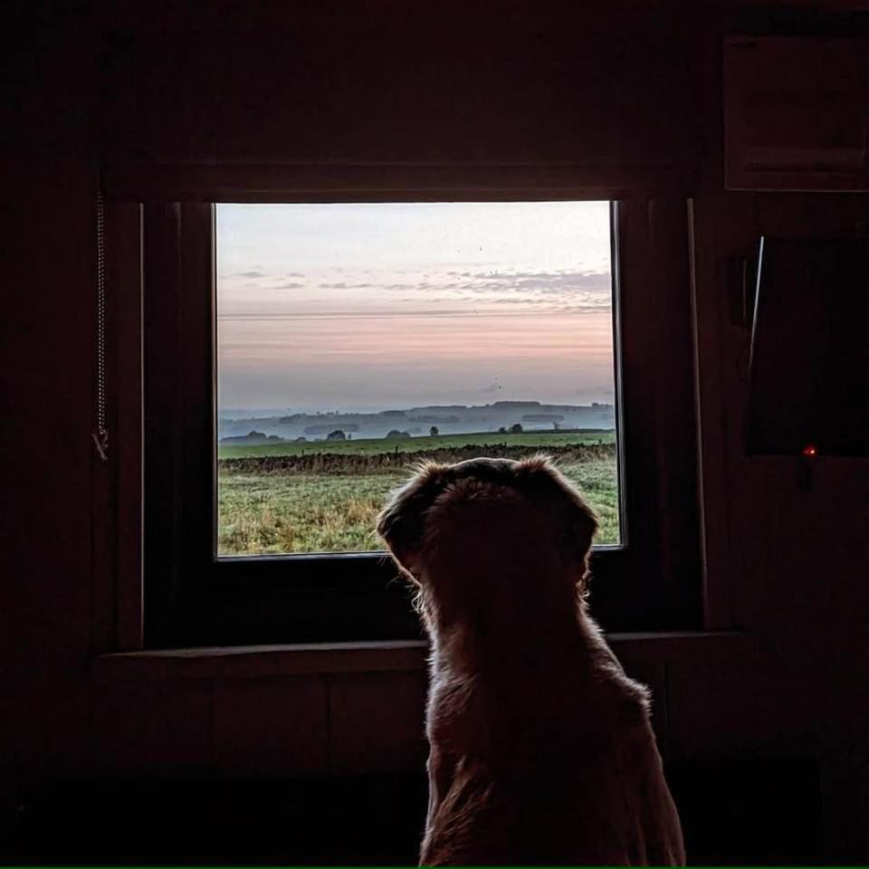 Luxury Shepherd Hut In The Peak District ベイクウェル エクステリア 写真